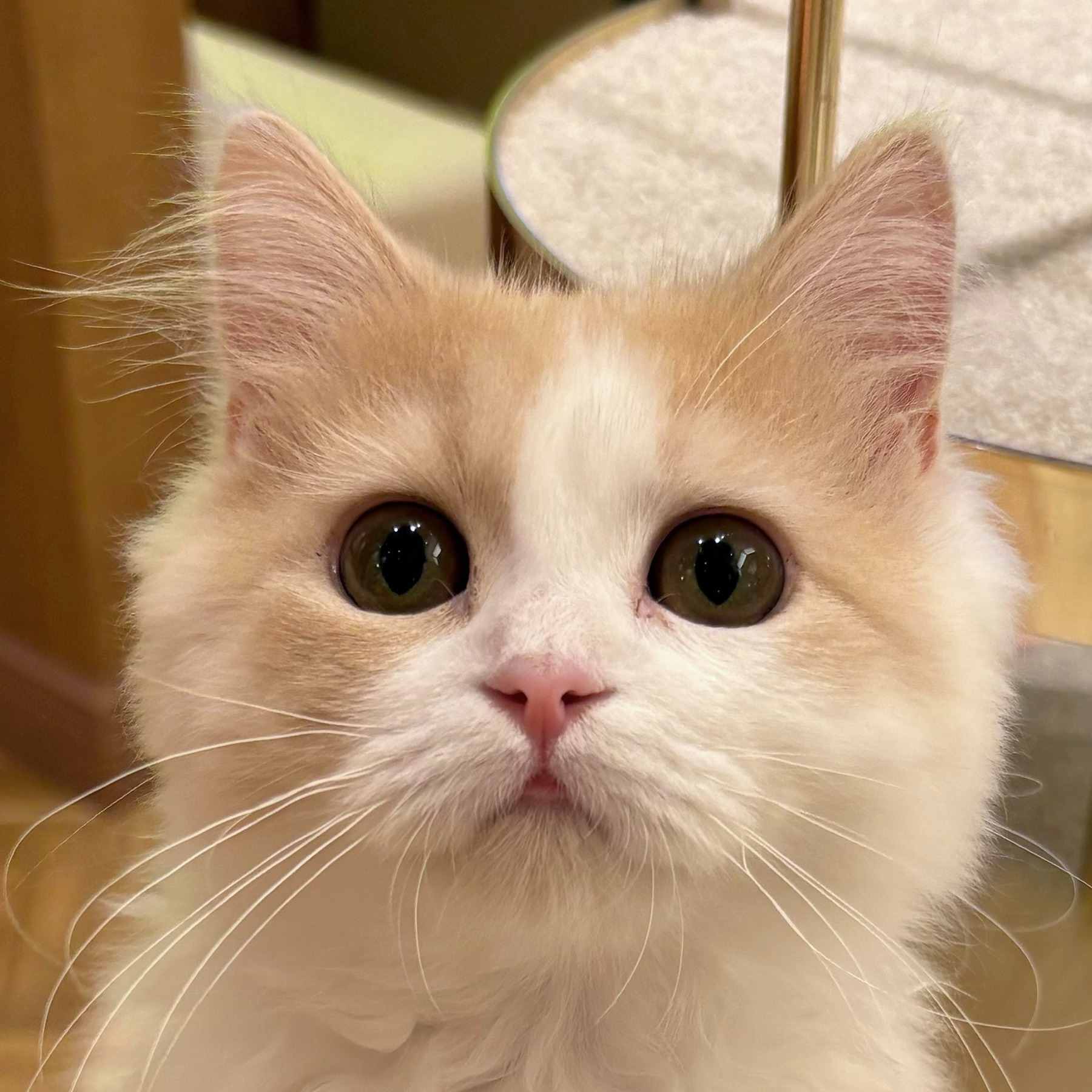 らら